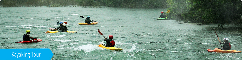 Kayaking Tour